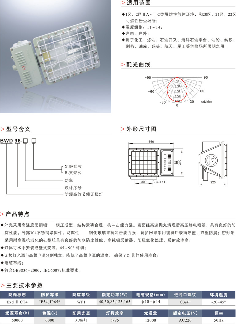 BWD96防爆高效节能无极灯