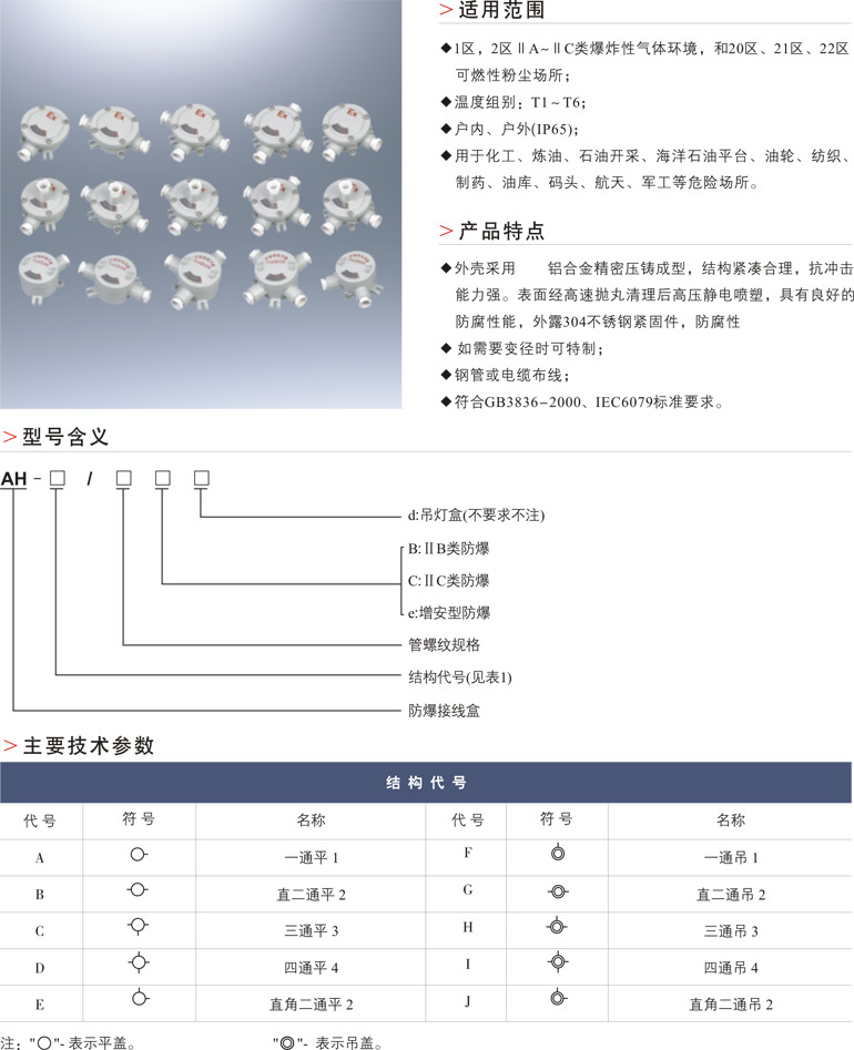 AH防爆接线盒