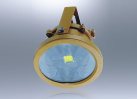 BLD76防爆免维护LED节能灯