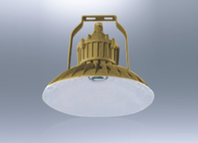 BLD78防爆免维护LED节能灯