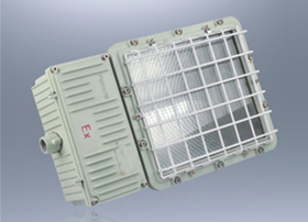 BTD52防爆泛光灯(一体式)(ⅡB ⅡC）