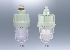 BWD95防爆高效节能无极灯