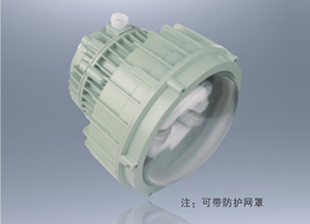 BWD91-DIP粉尘防爆无极灯